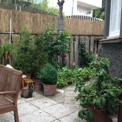 2-Zimmer-Wohnung mieten in Amstetten – 60 m², € 770 – Bild 16 von 19