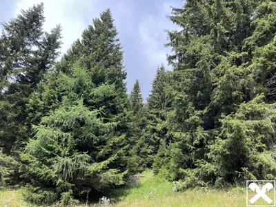 Grundstück kaufen in Villach Land – 40 568 m², € 98.000 – Bild 7 von 13