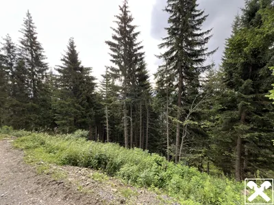 Grundstück kaufen in Villach Land – 40 568 m², € 98.000 – Bild 1 von 13