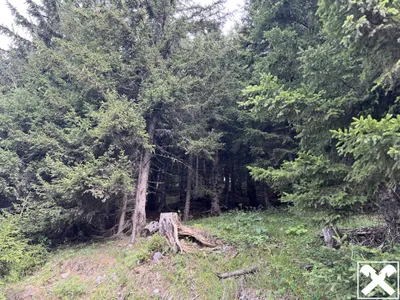 Grundstück kaufen in Villach Land – 40 568 m², € 98.000 – Bild 4 von 13