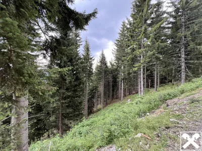Grundstück kaufen in Villach Land – 40 568 m², € 98.000 – Bild 6 von 13