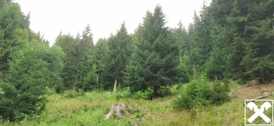 Grundstück kaufen in Villach Land – 40 568 m², € 98.000 – Bild 9 von 13