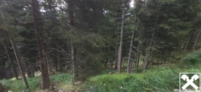Grundstück kaufen in Villach Land – 40 568 m², € 98.000 – Bild 11 von 13