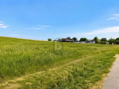 Grundstück kaufen in Ried im Innkreis – 1 000 m², € 115.000