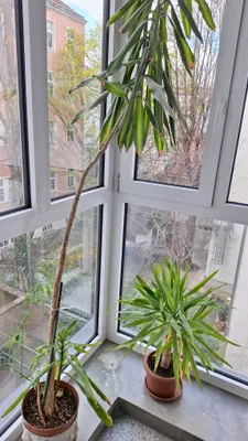 2-Zimmer-Wohnung mieten in Wien – 58 m², € 990 – Bild 10 von 45