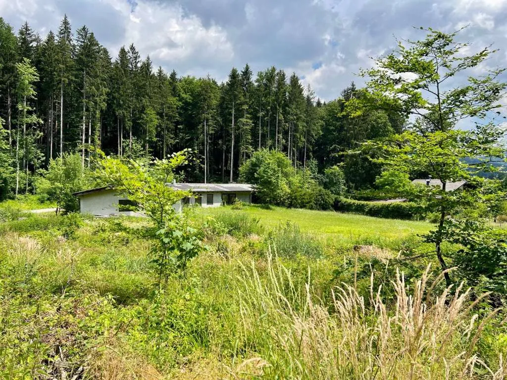 Baugrund in Schörfling am Attersee - teilbar! - Ansicht 3