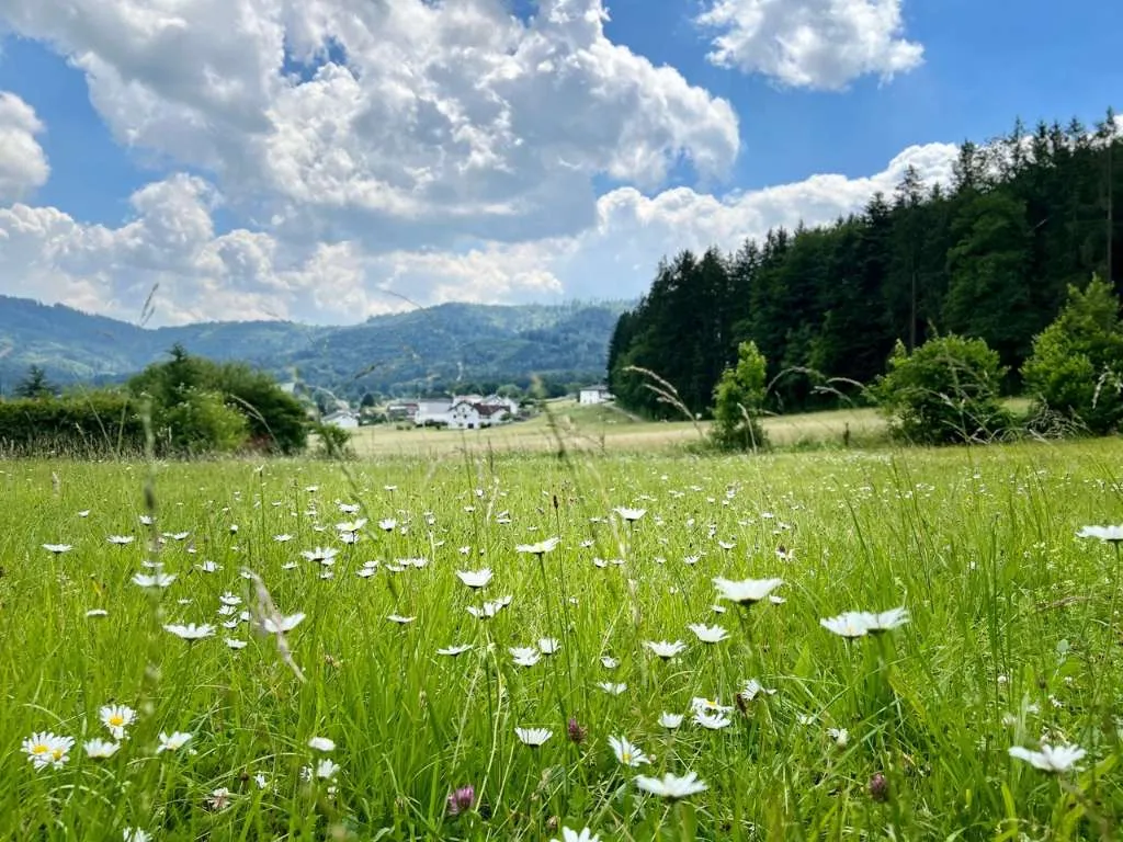 Baugrund in Schörfling am Attersee - teilbar! - Ansicht 2