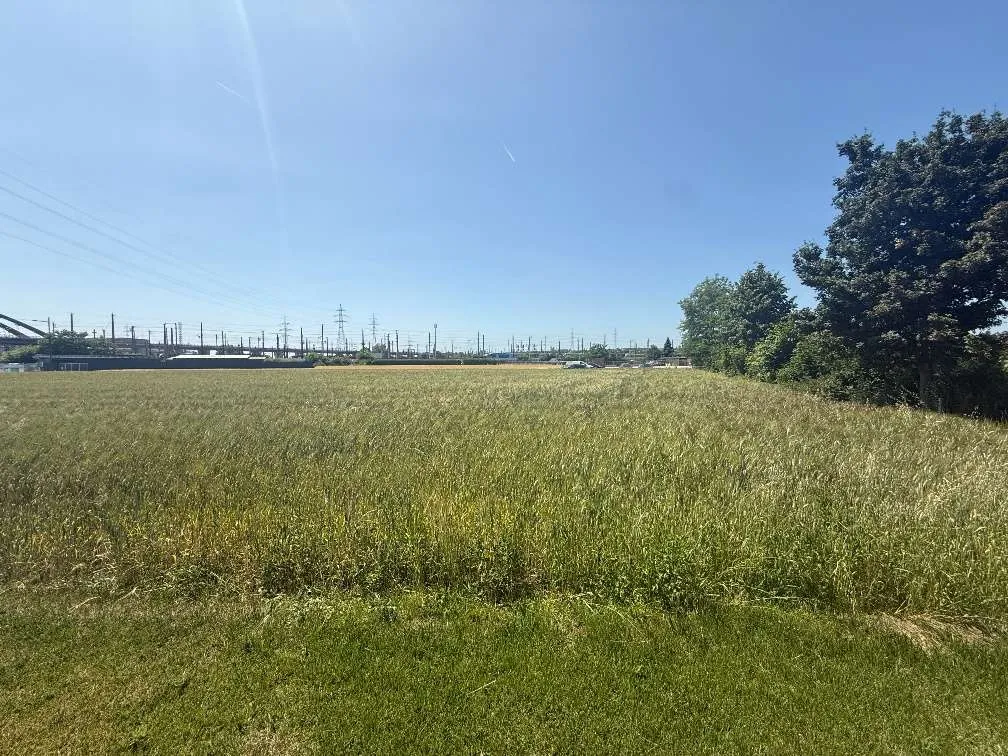 Provisionsfrei - Gewerbe-/ Lagerfläche beim Zentralfriedhof | 3.000 m² oder ab 1.500 m² | € 2,30 netto/ m² – pohled 2