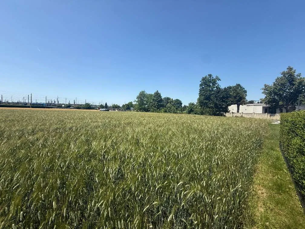 Provisionsfrei - Gewerbe-/ Lagerfläche beim Zentralfriedhof | 3.000 m² oder ab 1.500 m² | € 2,30 netto/ m² – pohled 3