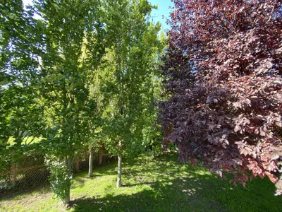 5-Zimmer-Haus kaufen in Wien – 196 m², € 1.390.000 – Bild 9 von 54