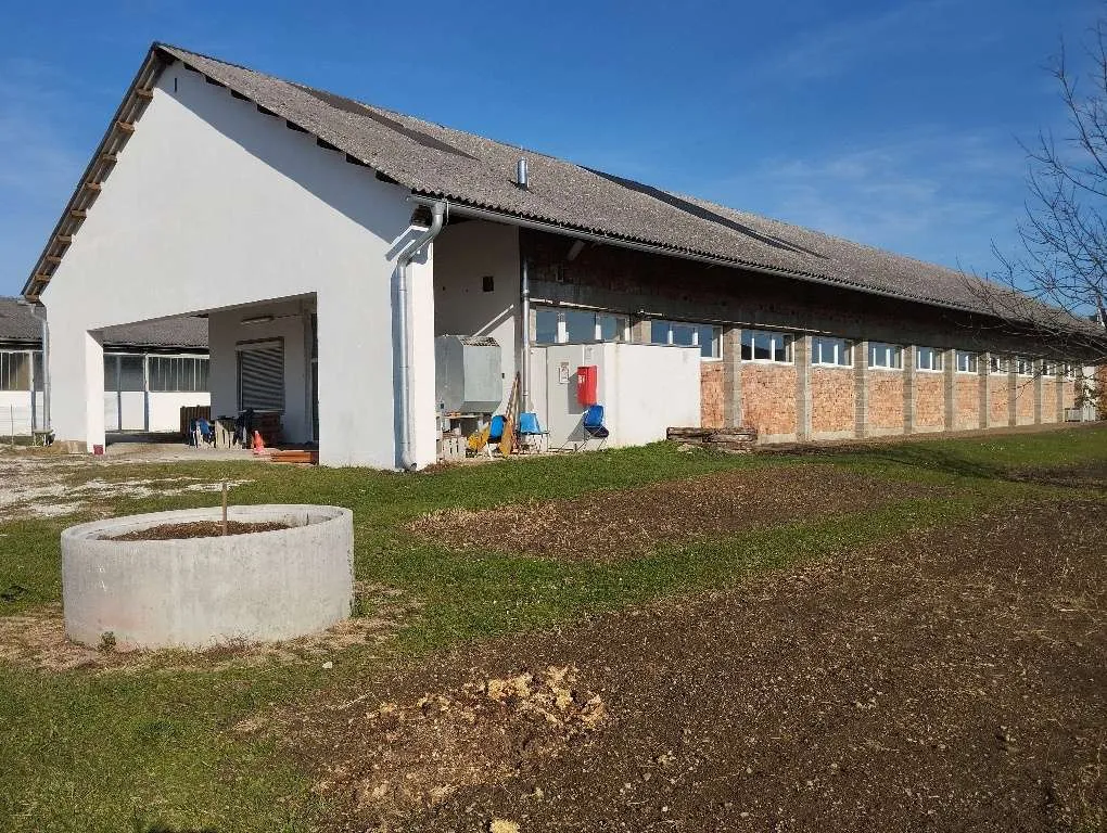 Beheizte Halle mit Werkstatt- und Büroeinheiten - Ansicht 3
