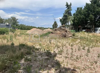 Immobilie mieten in Wiener Neustadt Land – 1 560 m², € 1.560 – Bild 2 von 4