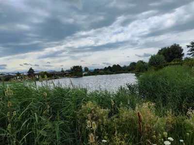 Immobilie kaufen in Baden – 290 m², € 49.000 – Bild 38 von 42