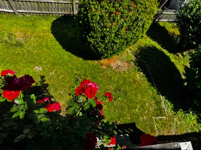 4-Zimmer-Haus mieten in Liezen – 110 m², € 1.350 – Bild 12 von 21
