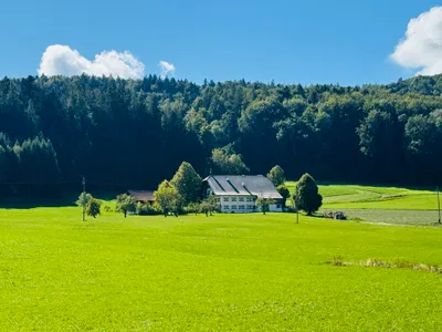 Immobilie kaufen in Salzburg-Umgebung – 250 m², € 3.000.000 – Bild 3 von 4