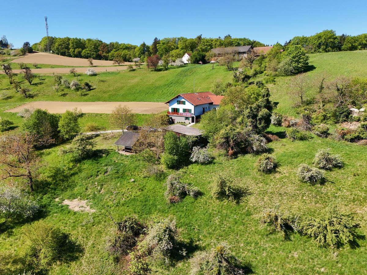 Nähe Übersbach bei Fürstenfeld: Großzügiges Wohnhaus in erhöhter Ruhelage mit traumhafter Aussicht - Ansicht 3