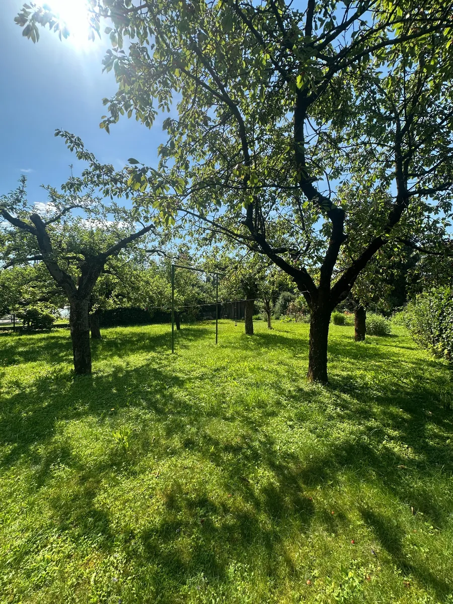 Hier beginnt Ihr neues Kapitel im Grünen: Wohnen, wo Obstbäume blühen und Wohnträume wachsen, Wetzelsdorf