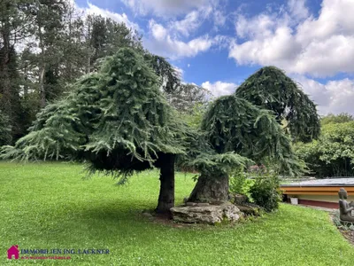 Haus kaufen in Bruck an der Leitha – 308 m², € 1.990.000 – Bild 13 von 41