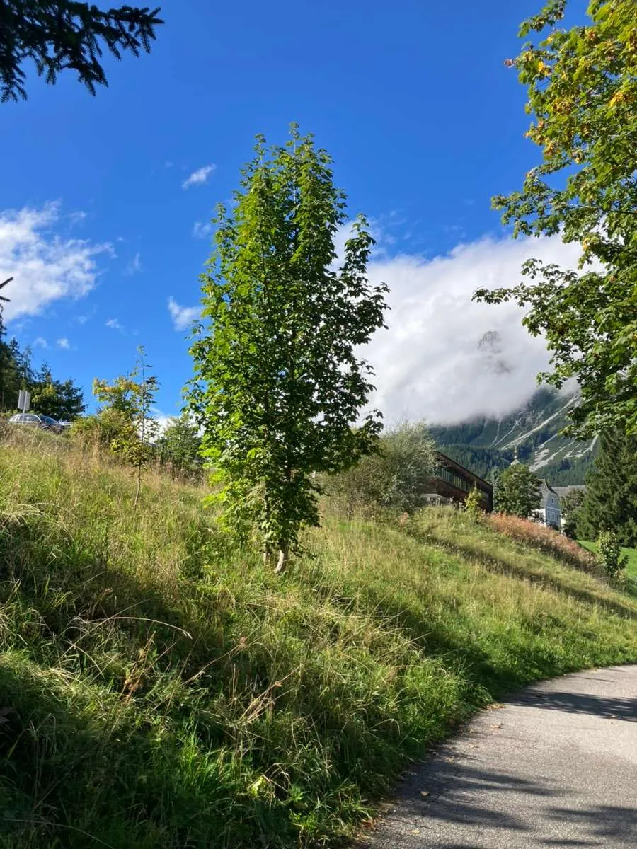 Bau Grundstück Ramsau am Dachstein 328/2 + 1415 - Ansicht 3