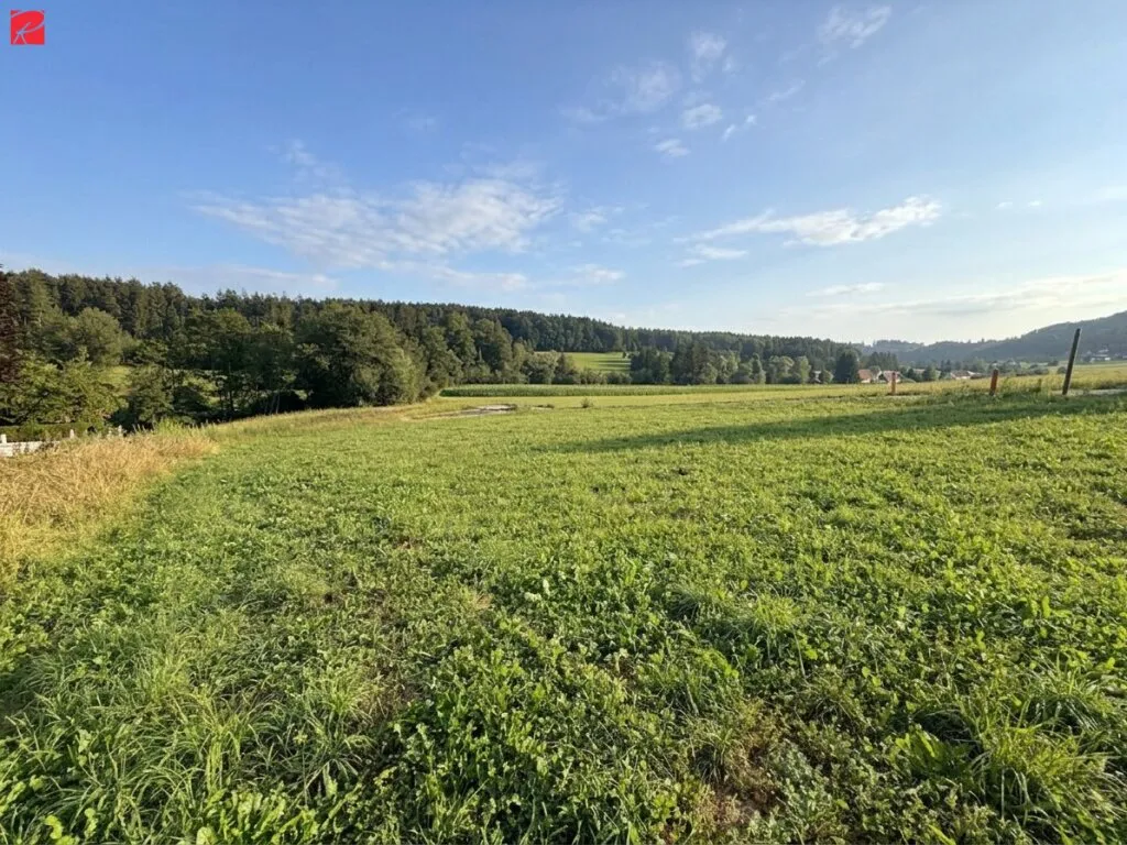 Sonniger Baugrund in malerischer Landschaft! - Ansicht 3