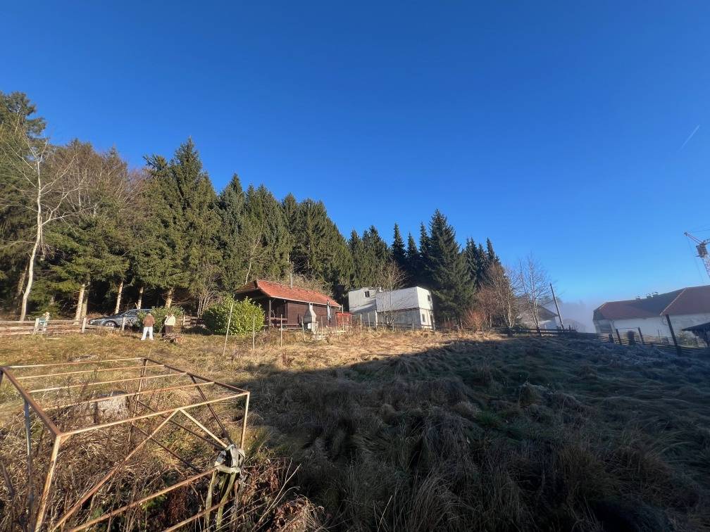 Schöner Baugrund in Siedlungslage auf der GIS - teilbar! - Ansicht 2