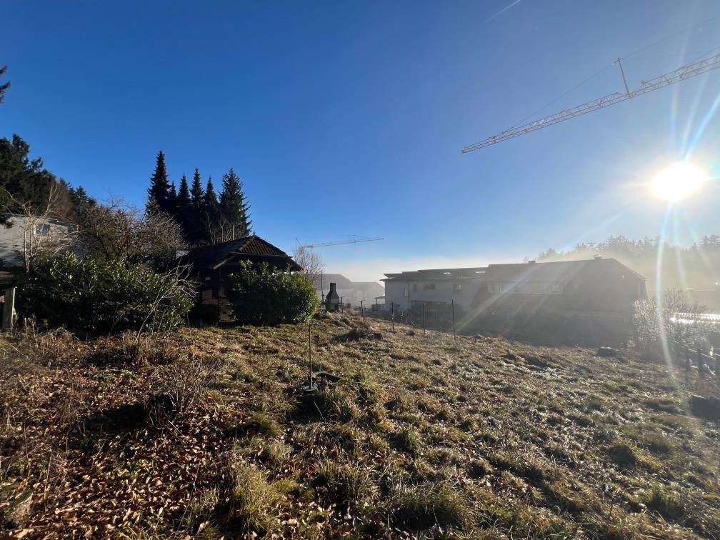 Schöner Baugrund in Siedlungslage auf der GIS - teilbar! - Ansicht 3