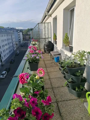 2-Zimmer-Wohnung mieten in Wien – 67 m², € 1.194 – Bild 2 von 13