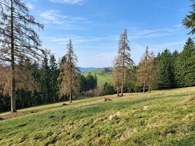 Immobilie mieten in Steyr-Land – 200 m², € 2.225 – Bild 3 von 7