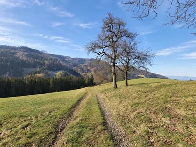 Immobilie mieten in Steyr-Land – 200 m², € 2.225 – Bild 4 von 7
