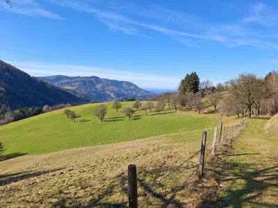 Immobilie mieten in Steyr-Land – 200 m², € 2.225 – Bild 5 von 7