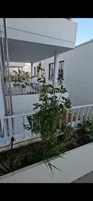 3-Zimmer-Wohnung mieten in Wien – 63 m², € 1.400 – Bild 4 von 7