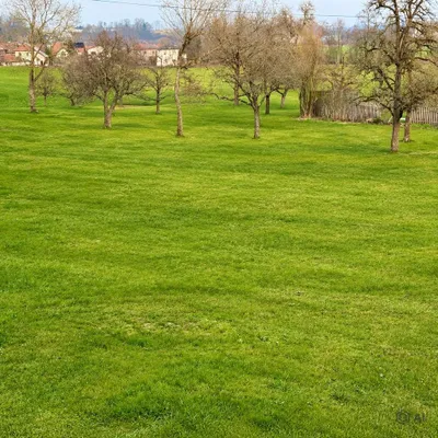 Grundstück kaufen in Steyr-Land – 500 m², € 125.000