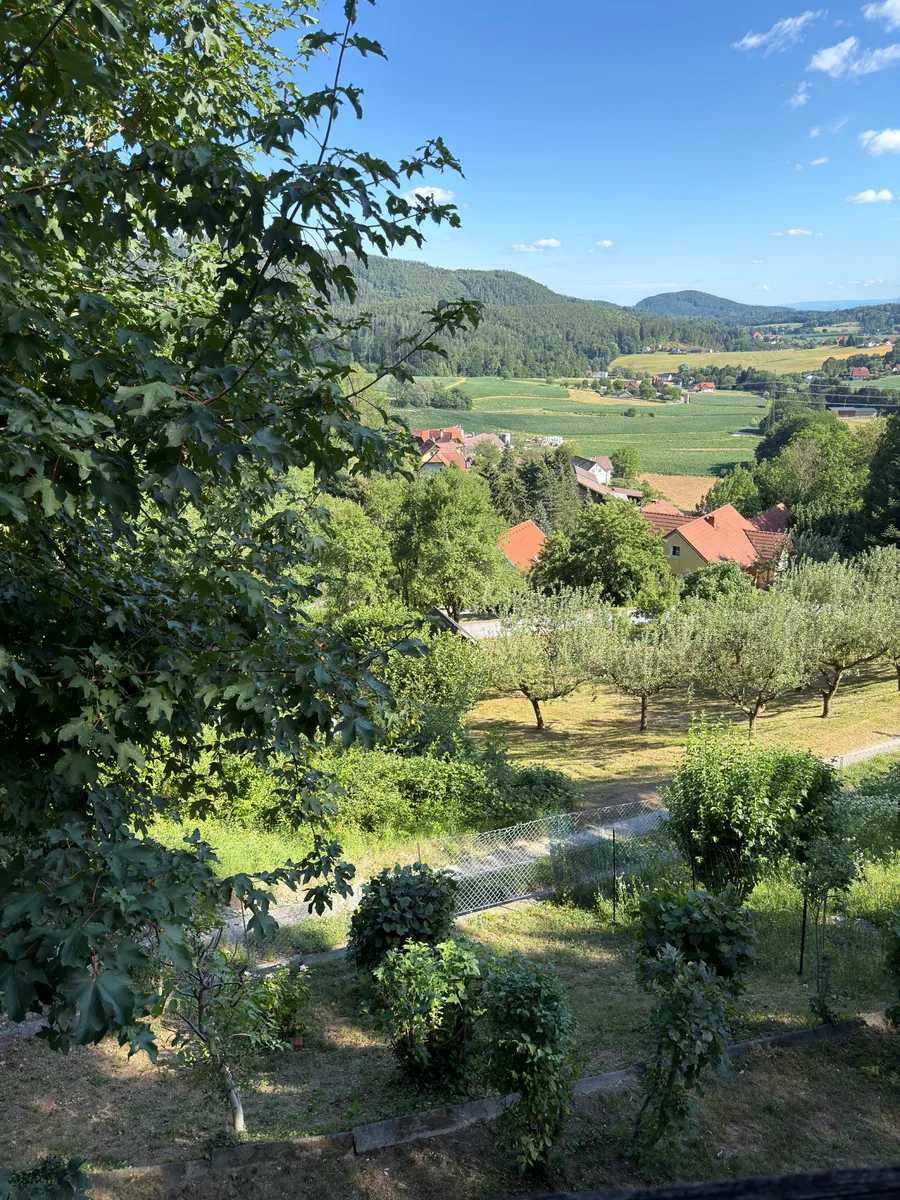 Haus – Thal - Ansicht 2