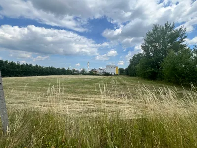 Grundstück kaufen in Mödling – 4 461 m², € 1.900.000 – Bild 3 von 6