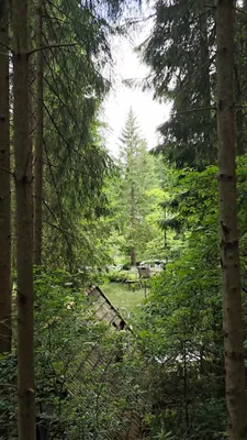 Grundstück kaufen in Freistadt – 9 080 m², € 149.000 – Bild 7 von 8