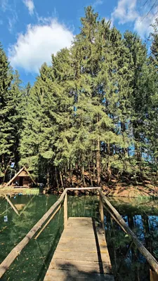 Grundstück kaufen in Freistadt – 9 080 m², € 149.000 – Bild 2 von 8