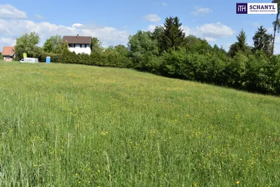 Grundstück kaufen in Graz-Umgebung – 5 194 m², € 1.545.000 – Bild 16 von 23