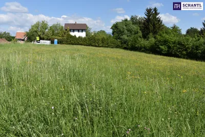 Grundstück kaufen in Graz-Umgebung – 5 194 m², € 1.545.000 – Bild 7 von 23