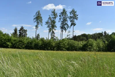 Grundstück kaufen in Graz-Umgebung – 5 194 m², € 1.545.000 – Bild 13 von 23