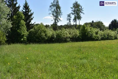 Grundstück kaufen in Graz-Umgebung – 5 194 m², € 1.545.000 – Bild 17 von 23