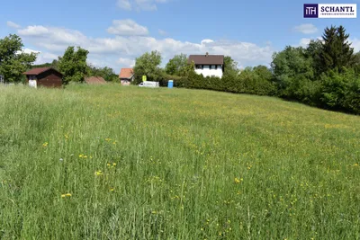 Grundstück kaufen in Graz-Umgebung – 5 194 m², € 1.545.000 – Bild 12 von 23