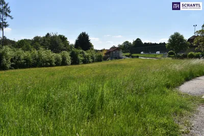 Grundstück kaufen in Graz-Umgebung – 5 194 m², € 1.545.000 – Bild 18 von 23