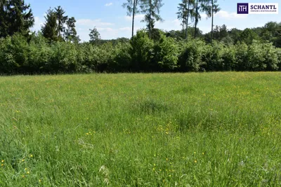 Grundstück kaufen in Graz-Umgebung – 5 194 m², € 1.545.000 – Bild 1 von 23
