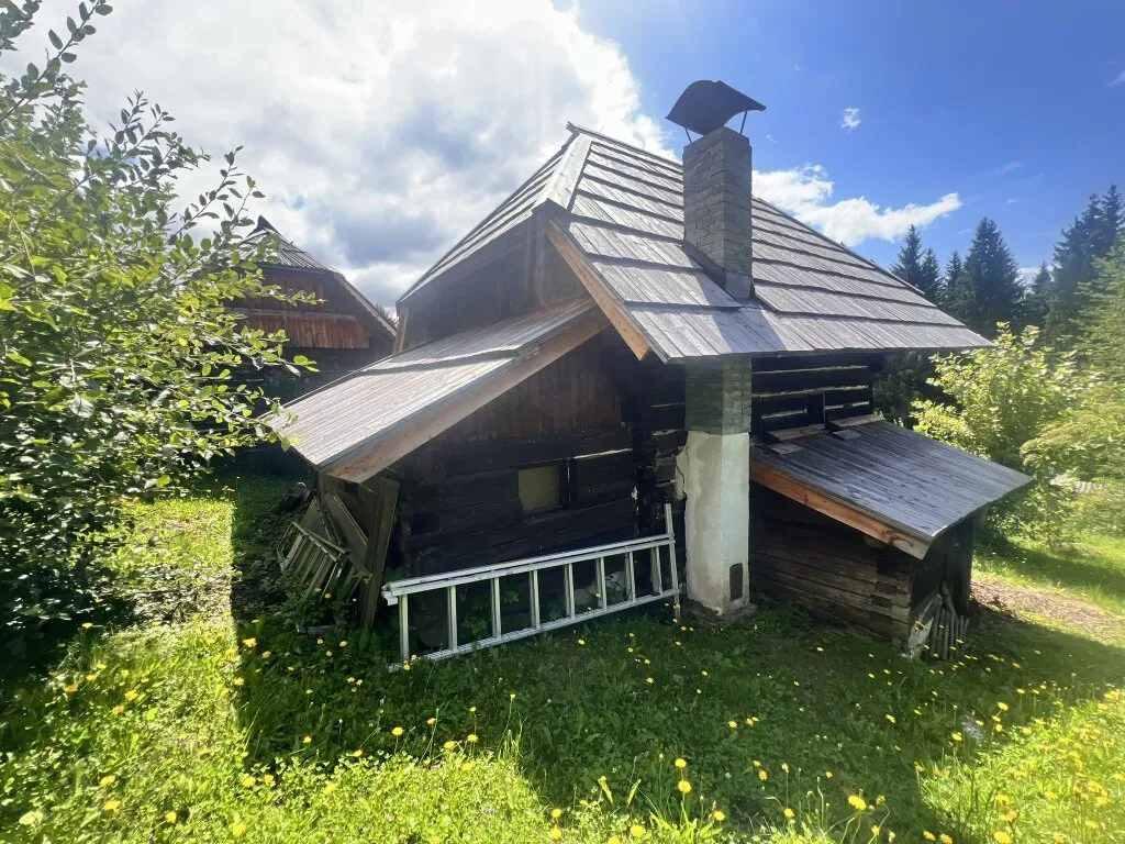 Historischer Kärntner "Troadkasten" mit "Keuschn" in idyllischer Lage - Ansicht 3