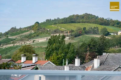 4-Zimmer-Haus kaufen in Tulln – 174 m², € 1.550.000 – Bild 7 von 25
