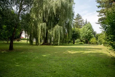 11-Zimmer-Haus kaufen in Korneuburg – 365 m², € 1.800.000 – Bild 29 von 45