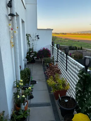 2-Zimmer-Wohnung mieten in Wien – 47 m², € 913 – Bild 3 von 14