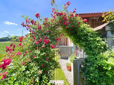 Haus kaufen in Braunau am Inn – 180 m², € 420.000 – Bild 22 von 39