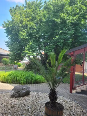 9-Zimmer-Gewerbeimmobilie kaufen in Neusiedl am See – 326 m², € 849.000 – Bild 26 von 26
