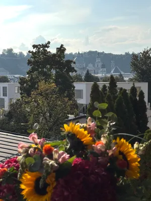 15-Zimmer-Gewerbeimmobilie mieten in Salzburg Stadt – 627 m², € 10.802 – Bild 2 von 10